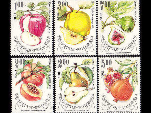 外国切手(花・植物)、可愛い古切手、ヴィンテージ切手の通販