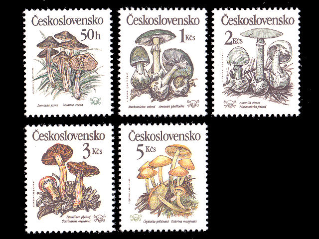 外国切手(花・植物)、可愛い古切手、ヴィンテージ切手の通販