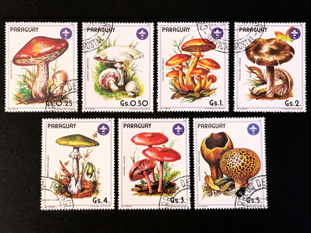 きのこ（パラグアイ 1980年）の外国切手7種（使用済み）