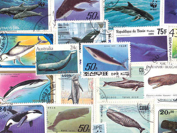 クジラ・シャチの外国切手 [5枚入り]