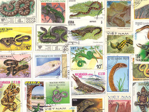 爬虫類（ヘビ・トカゲなど）の外国切手 [10枚入り]