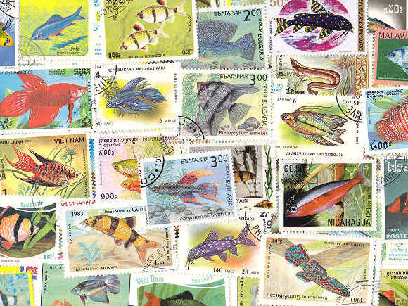 熱帯魚の外国切手 [10枚入り]