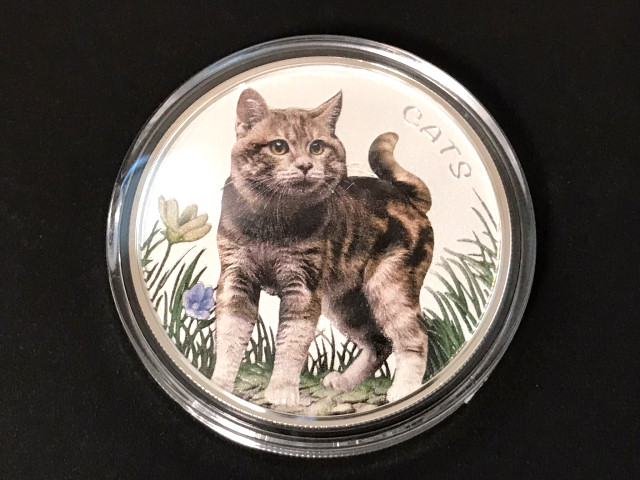 庭猫（フィジー 2022年）1オンス キャット銀貨 カラー版（新品未使用）