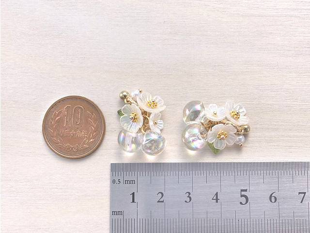 �t�����[�^�b�Z�� ���F�������ڃ`���[���i�N���A�I�[�����j[2����] 2����