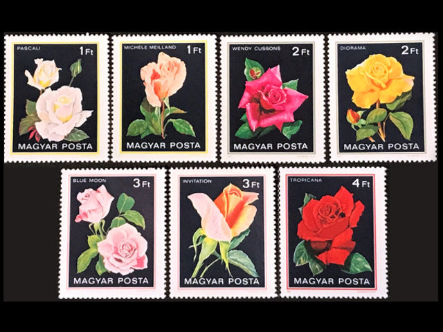 薔薇の花（ハンガリー 1982年）の外国切手7種（未使用）[ワケあり品]